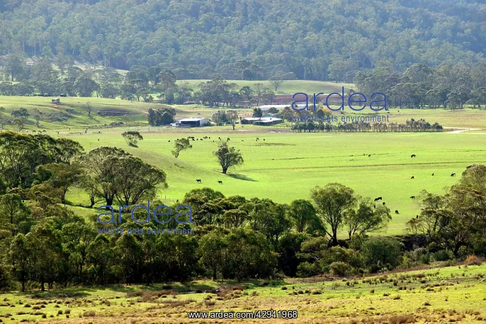 : Tom Groggin Station below Mount Kosciuszko. Alpine : Tom Groggin Station below Mount Kosciuszko. Alpine