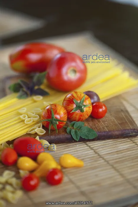  : Tomato, Lycopersicon esculentum, Studio shot or