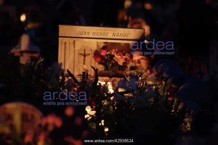 : A tomb with candles before it, in the cemetery : A tomb with candles before it, in the cemetery
