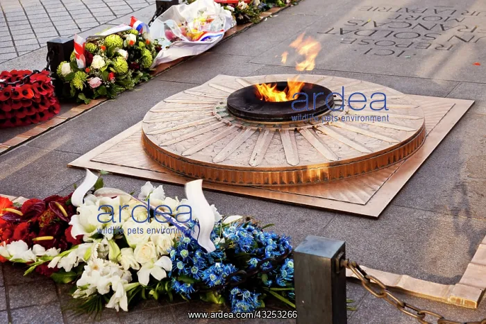 : Tomb of the Unknown Soldier below the Arc : Tomb of the Unknown Soldier below the Arc