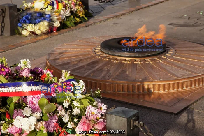 : Tomb of the Unknown Soldier beneath the : Tomb of the Unknown Soldier beneath the