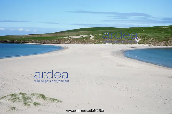 : Tombolo (a natural sand causeway / sand bar with : Tombolo (a natural sand causeway / sand bar with