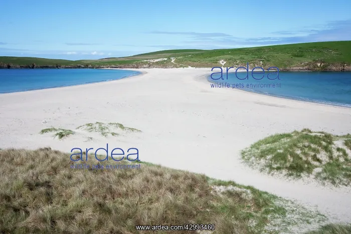 : Tombolo (a natural sand causeway / sand bar with : Tombolo (a natural sand causeway / sand bar with