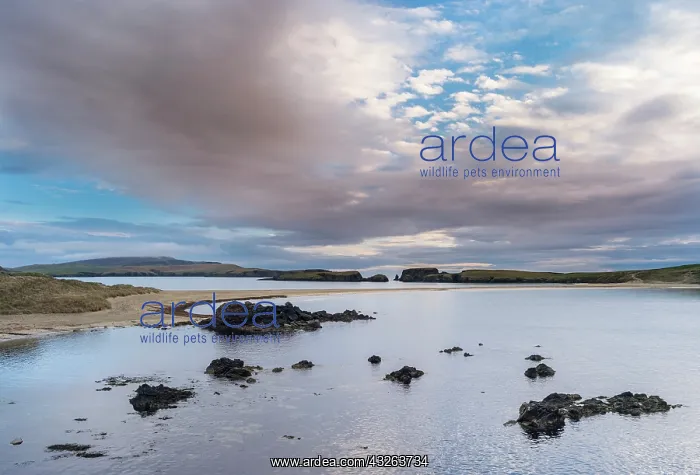 : Tombolo connecting St Ninian's Isle with : Tombolo connecting St Ninian's Isle with