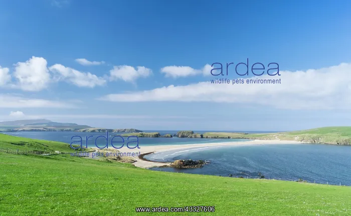 : Tombolo connecting St Ninian's Isle with : Tombolo connecting St Ninian's Isle with