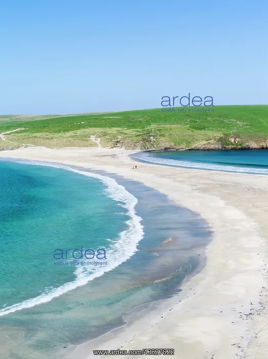 : Tombolo connecting St Ninian's Isle with : Tombolo connecting St Ninian's Isle with
