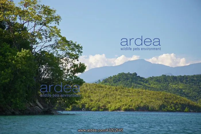 : Tomori Bay and Morowali Nature Reserve : Tomori Bay and Morowali Nature Reserve