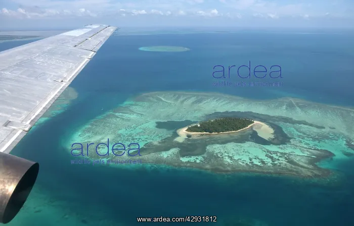 : Tonga, South Pacific - Flying over the archipelago : Tonga, South Pacific - Flying over the archipelago