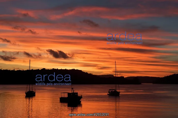: Tonga, South Pacific - Sunset : Tonga, South Pacific - Sunset
