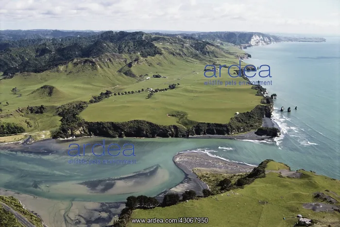: Tongaporutu Estuary : Tongaporutu Estuary