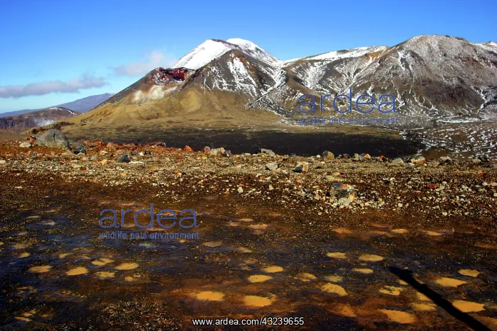 : Tongariro NP, New Zealand. The Tongariro : Tongariro NP, New Zealand. The Tongariro