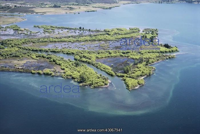 : Tongariro River Delta : Tongariro River Delta