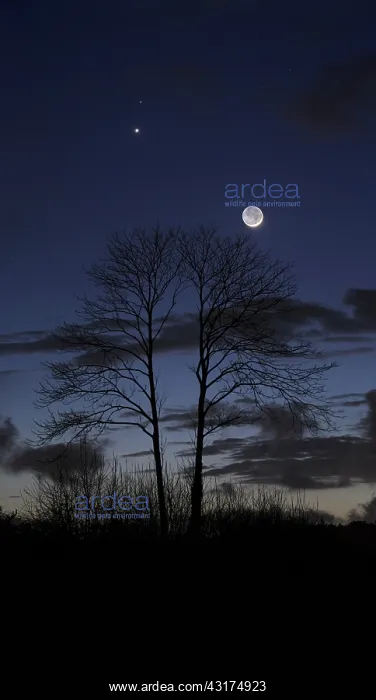 : Tonight the moon adorned his Earthshine is held : Tonight the moon adorned his Earthshine is held