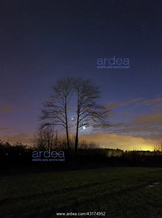 : Tonight the moon adorned his Earthshine is held : Tonight the moon adorned his Earthshine is held