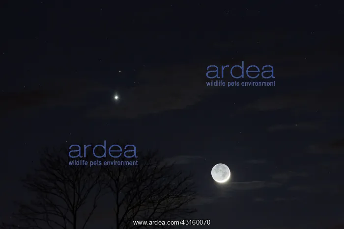  : Tonight, the Moon has joined the duo formed by Venus