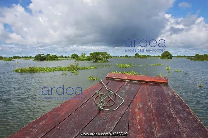 : Tonle Sap Lake, Siem Reap, Angkor, Siem : Tonle Sap Lake, Siem Reap, Angkor, Siem