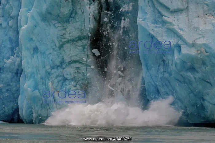 : Tons of ice crash into the sea during a fall of : Tons of ice crash into the sea during a fall of