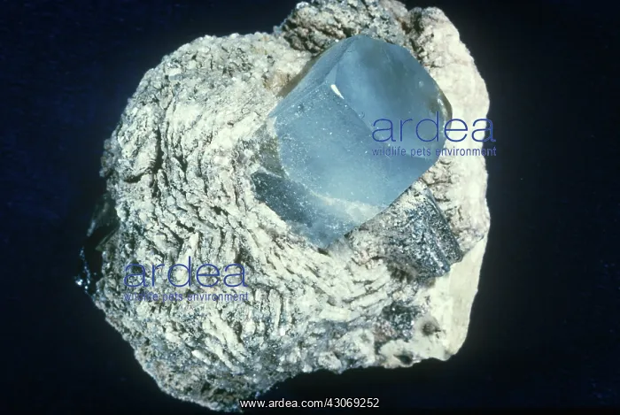 : Topaz in Celandite : Topaz in Celandite