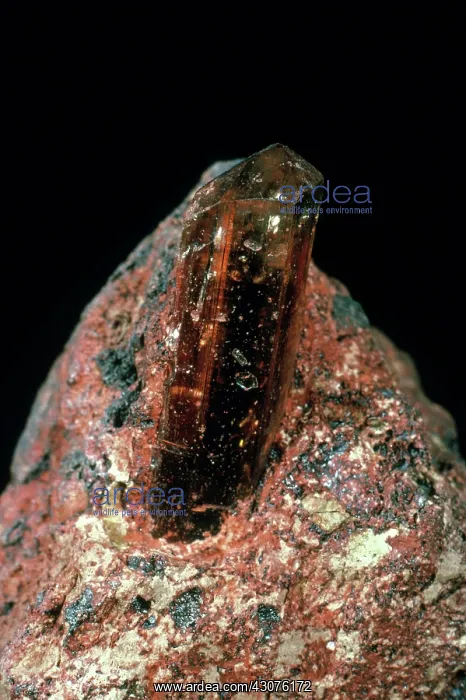  : Topaz crystal from Minas Gerais, Brazil