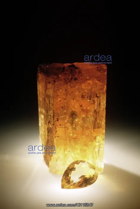 : Topaz, cut and uncut : Topaz, cut and uncut