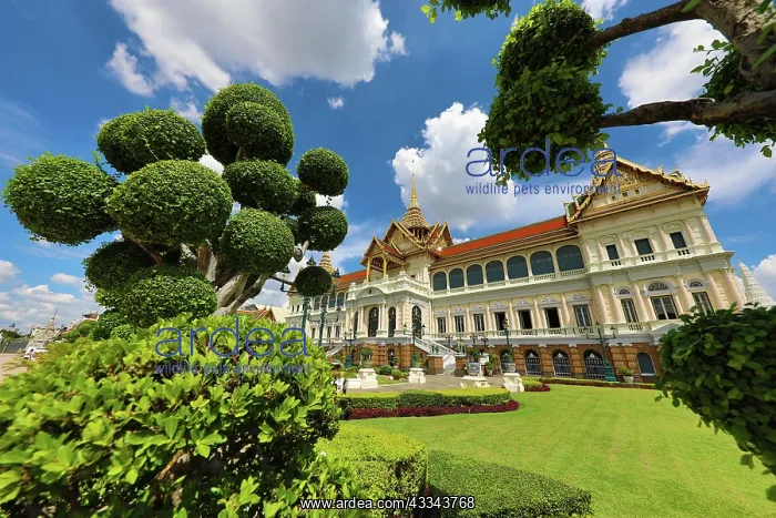 : Topiary at the Grand Palace in the Grand Palace : Topiary at the Grand Palace in the Grand Palace