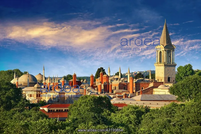 : The Topkapi Palace, Istanbul, Turkey, Asia The : The Topkapi Palace, Istanbul, Turkey, Asia The