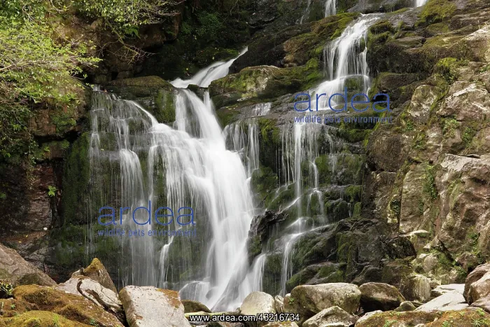 : Torc waterfall, Killarney National Park, County