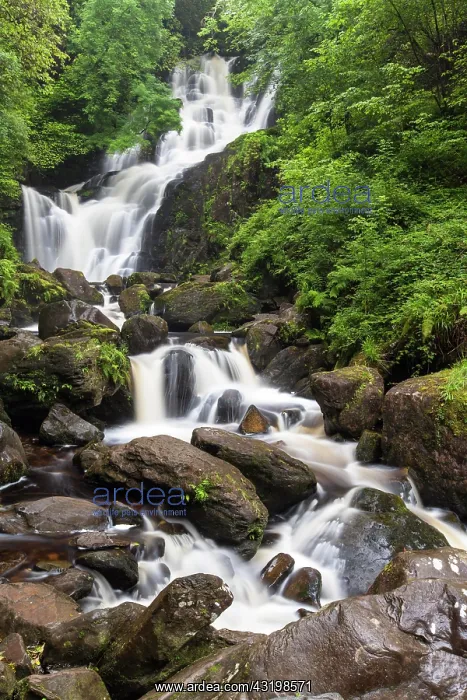 : Torc Waterfall, Killarney National Park, Killarney : Torc Waterfall, Killarney National Park, Killarney
