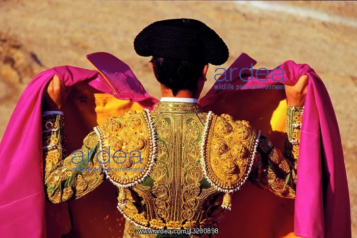 : Torero, bullfighting arena of Las Ventas, Torero : Torero, bullfighting arena of Las Ventas, Torero