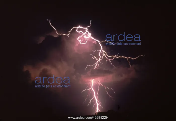 : A tornado forms beneath a low-topped supercell thunderstorm : A tornado forms beneath a low-topped supercell thunderstorm