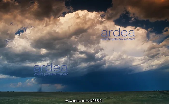 : A tornado spins across western South Dakota on June : A tornado spins across western South Dakota on June