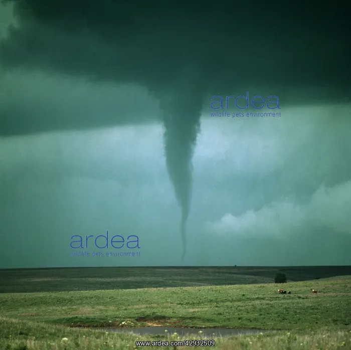: TORNADO / Twister - genuine image (NOT enhanced) : TORNADO / Twister - genuine image (NOT enhanced)