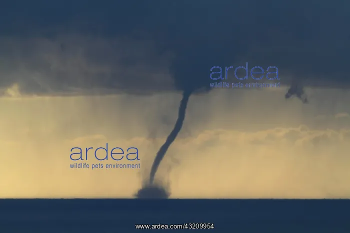 : Tornado, waterspout, overlooking the Mediterranean : Tornado, waterspout, overlooking the Mediterranean