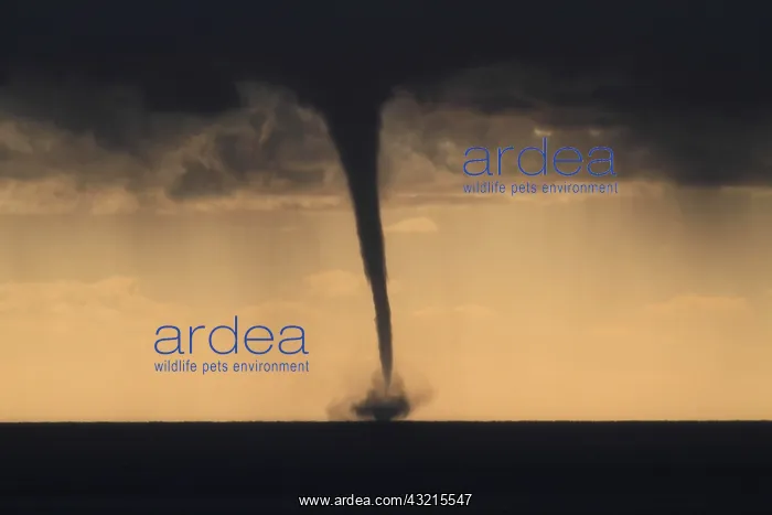: Tornado, waterspout, overlooking the Mediterranean : Tornado, waterspout, overlooking the Mediterranean