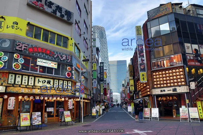  : Toromasa Restaurant in West Shinjuku, Tokyo, Japan