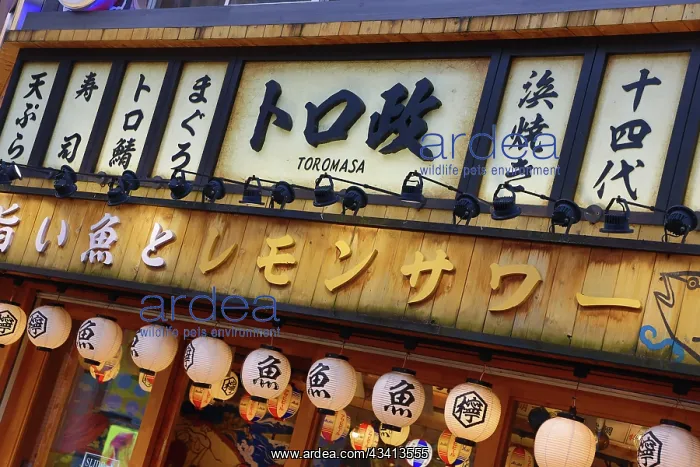 : Toromasa Restaurant in West Shinjuku, Tokyo, Japan : Toromasa Restaurant in West Shinjuku, Tokyo, Japan