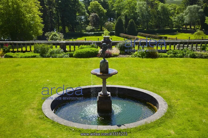 : Torosay Castle Gardens - Mull island Hebrides Scotland : Torosay Castle Gardens - Mull island Hebrides Scotland