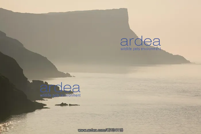 : Torr Head, Antrim Coast, County Antrim, Northern : Torr Head, Antrim Coast, County Antrim, Northern