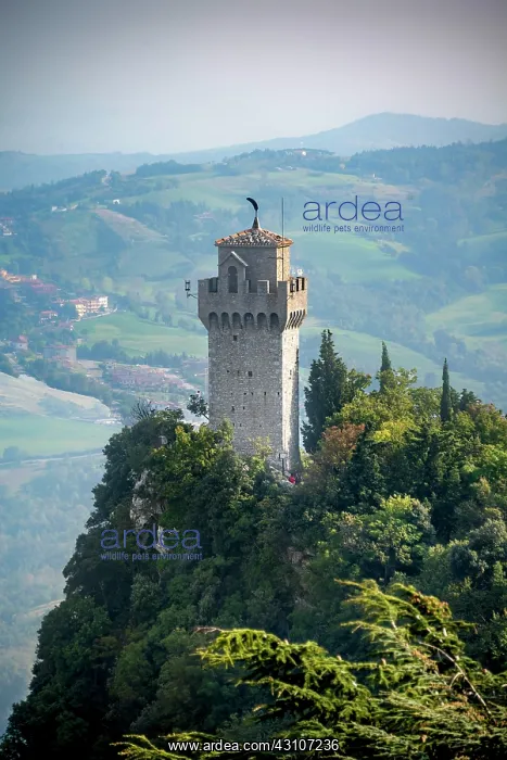 : Torre Montale, Terza Torre, old watchtower, Monte : Torre Montale, Terza Torre, old watchtower, Monte