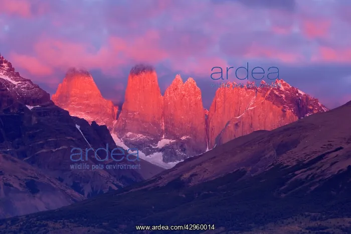  : Torres del Paine - alpenglow on mountain scenery