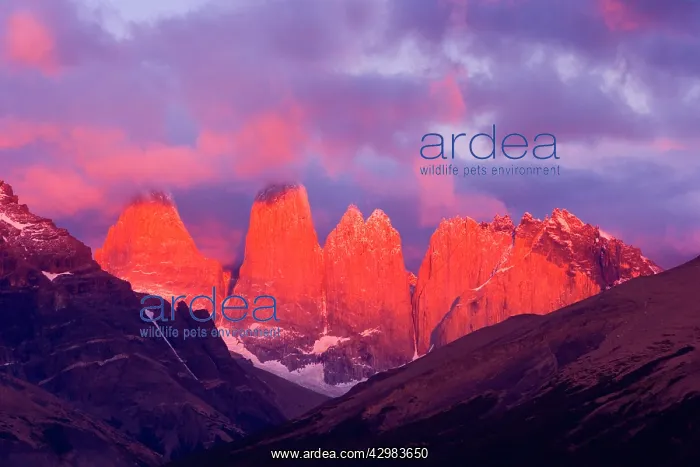  : Torres del Paine - alpenglow on mountain scenery