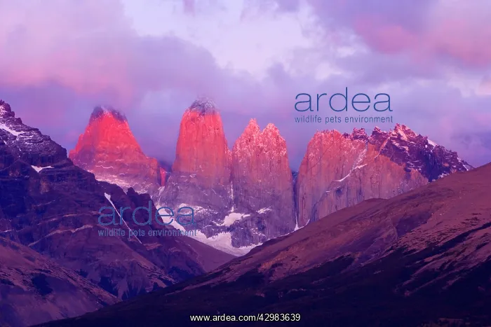 : Torres del Paine massif and clouds at sunrise - : Torres del Paine massif and clouds at sunrise -