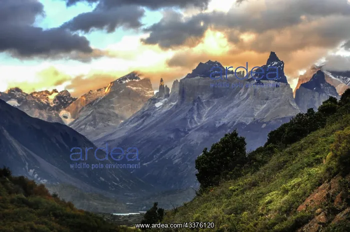 : Torres del Paine mountain ridge in Southern Chile : Torres del Paine mountain ridge in Southern Chile