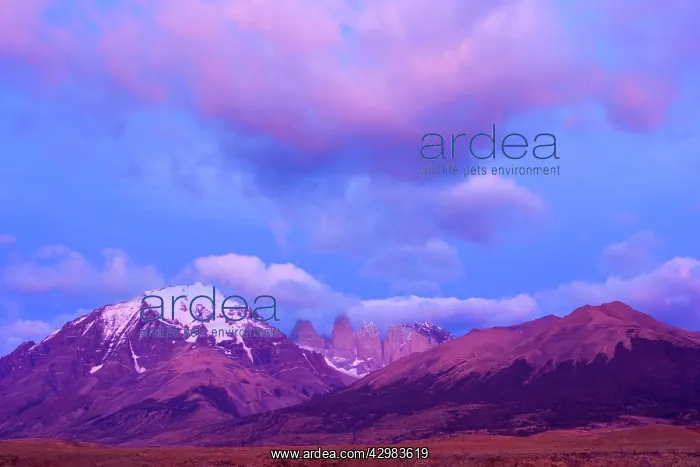 : Torres del Paine - mountain scenery encompassing : Torres del Paine - mountain scenery encompassing