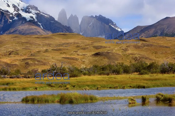 : Torres del Paine - mountain scenery encompassing : Torres del Paine - mountain scenery encompassing