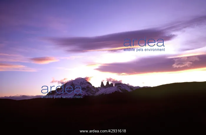 : Torres Del Paine National Park : Torres Del Paine National Park