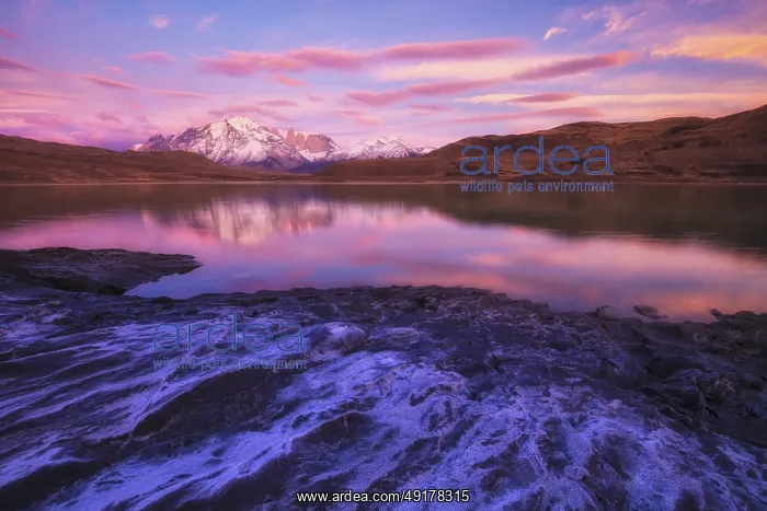 : Torres del Paine National Park, Chile : Torres del Paine National Park, Chile