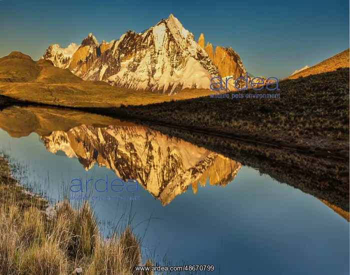 : Torres del Paine reflection, Chile : Torres del Paine reflection, Chile