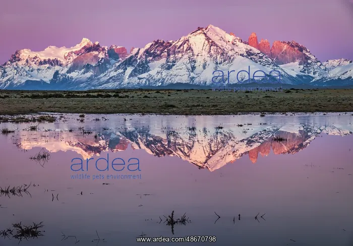 : Torres del Paine reflection sunrise, Chile : Torres del Paine reflection sunrise, Chile