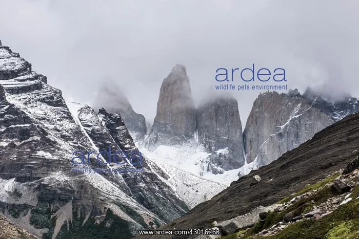  : Torres del Paine Towers